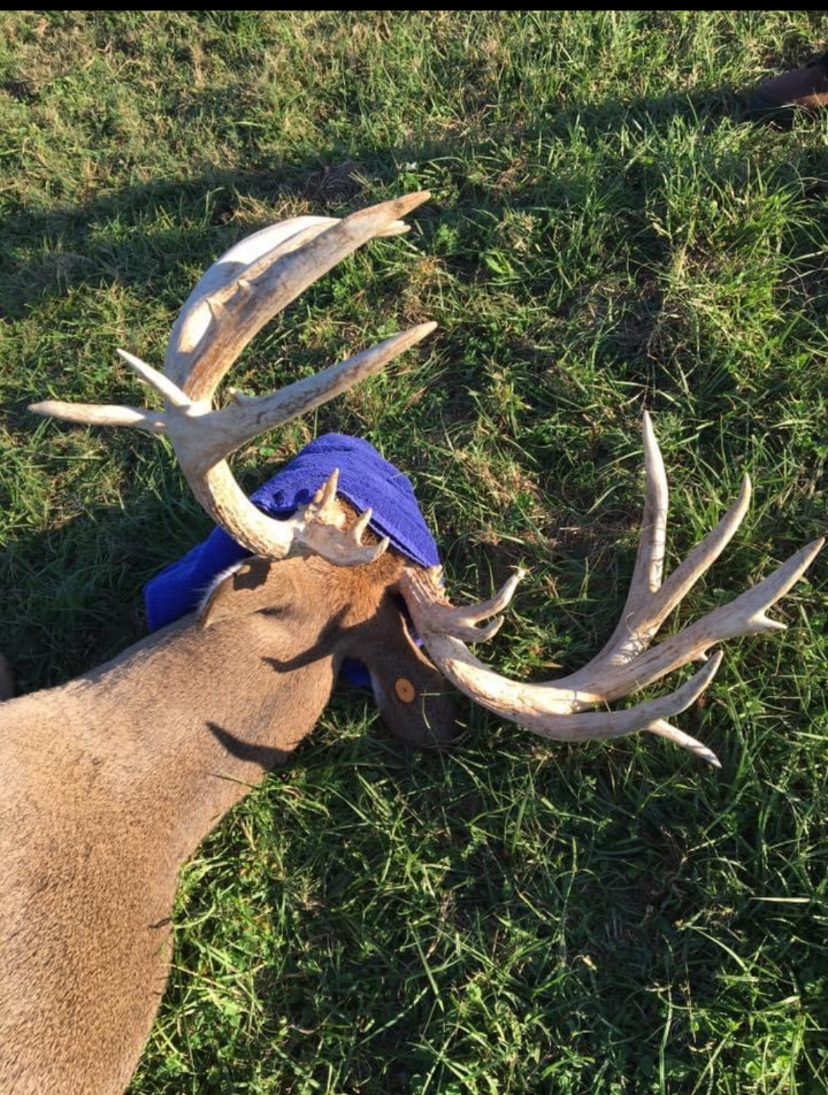 Hunters Education