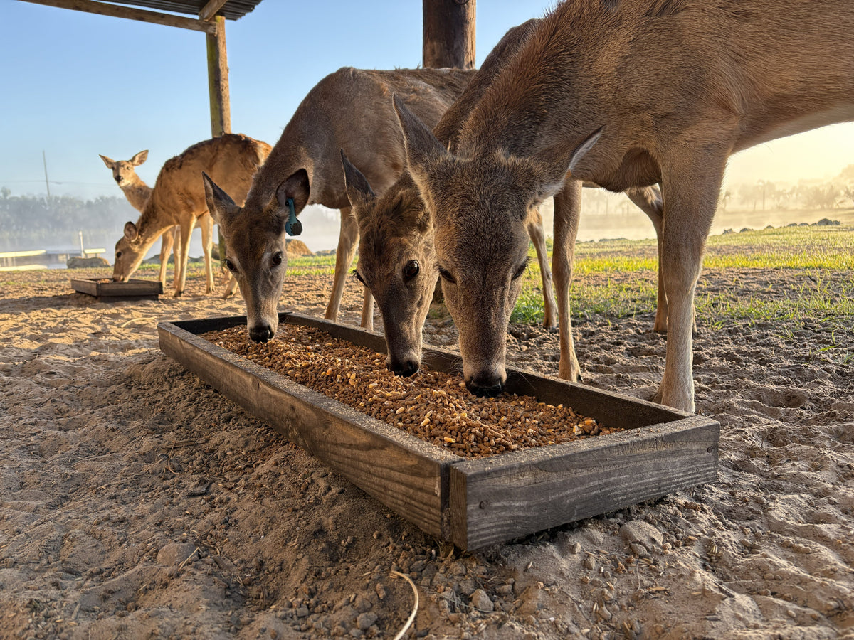 Collections – Sampsell Family Farm
